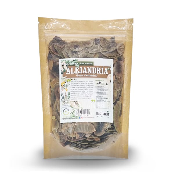 Alejandría