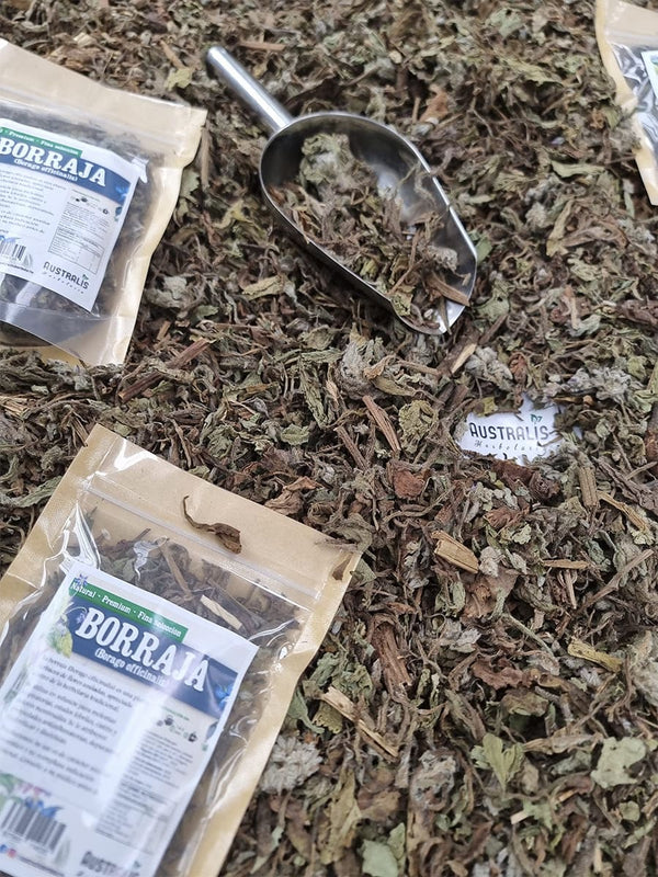 Borraja seca Borago officinalis mayorista y a granel