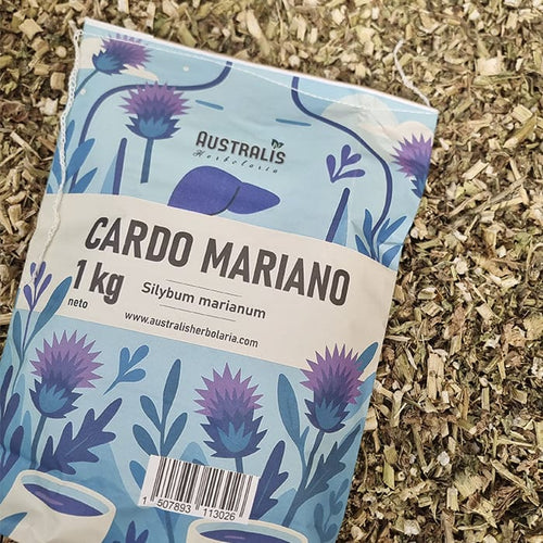 cardo mariano deshidratado seco kilogramo mayorista infusión