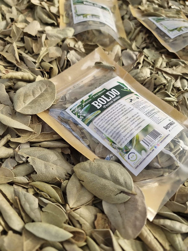 Boldo en hojas secas para preparación tradicional