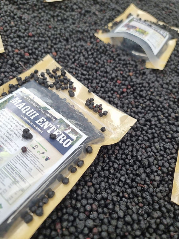 Fruto entero de maqui berry seco y deshidratado