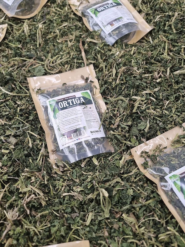Hojas secas de ortiga utilizadas tradicionalmente como infusión diurética