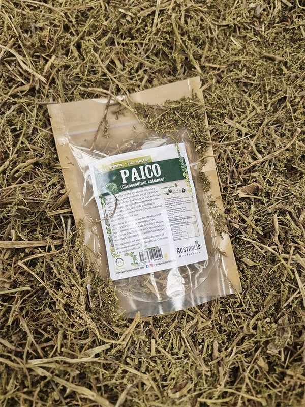 Paico hierba seca natural para infusión y tés Chenopodium chilense