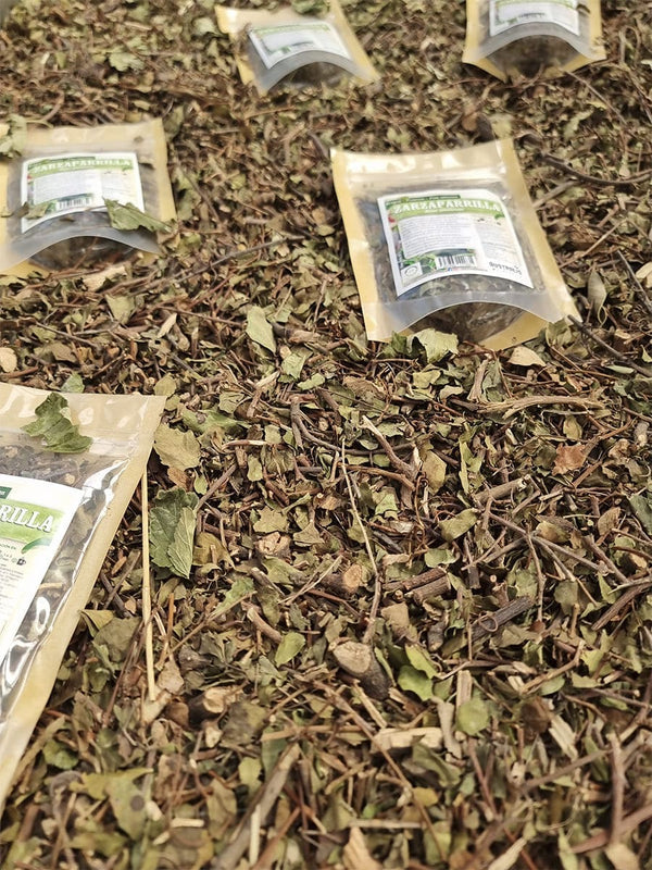 Hierba seca de zarzaparrilla chilena