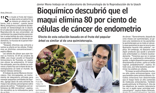 Importante descubrimiento sobre el Maqui