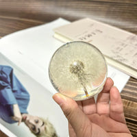 Esfera de cristal y resina con diente de león decorativa