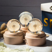 Esfera de cristal y resina con diente de león decorativa