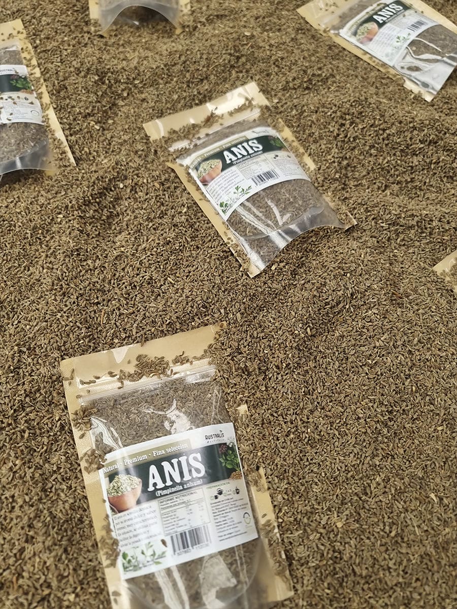 Semillas de anís Pimpinella anisum para infusión y repostería