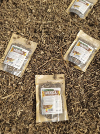 Árnica montana seca para uso externo