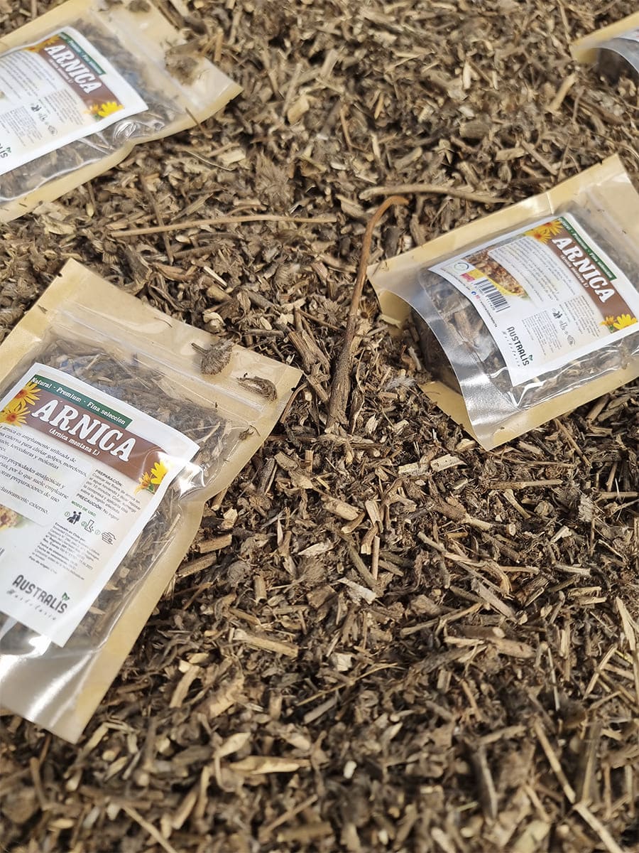 Árnica montana seca para aplicación externa