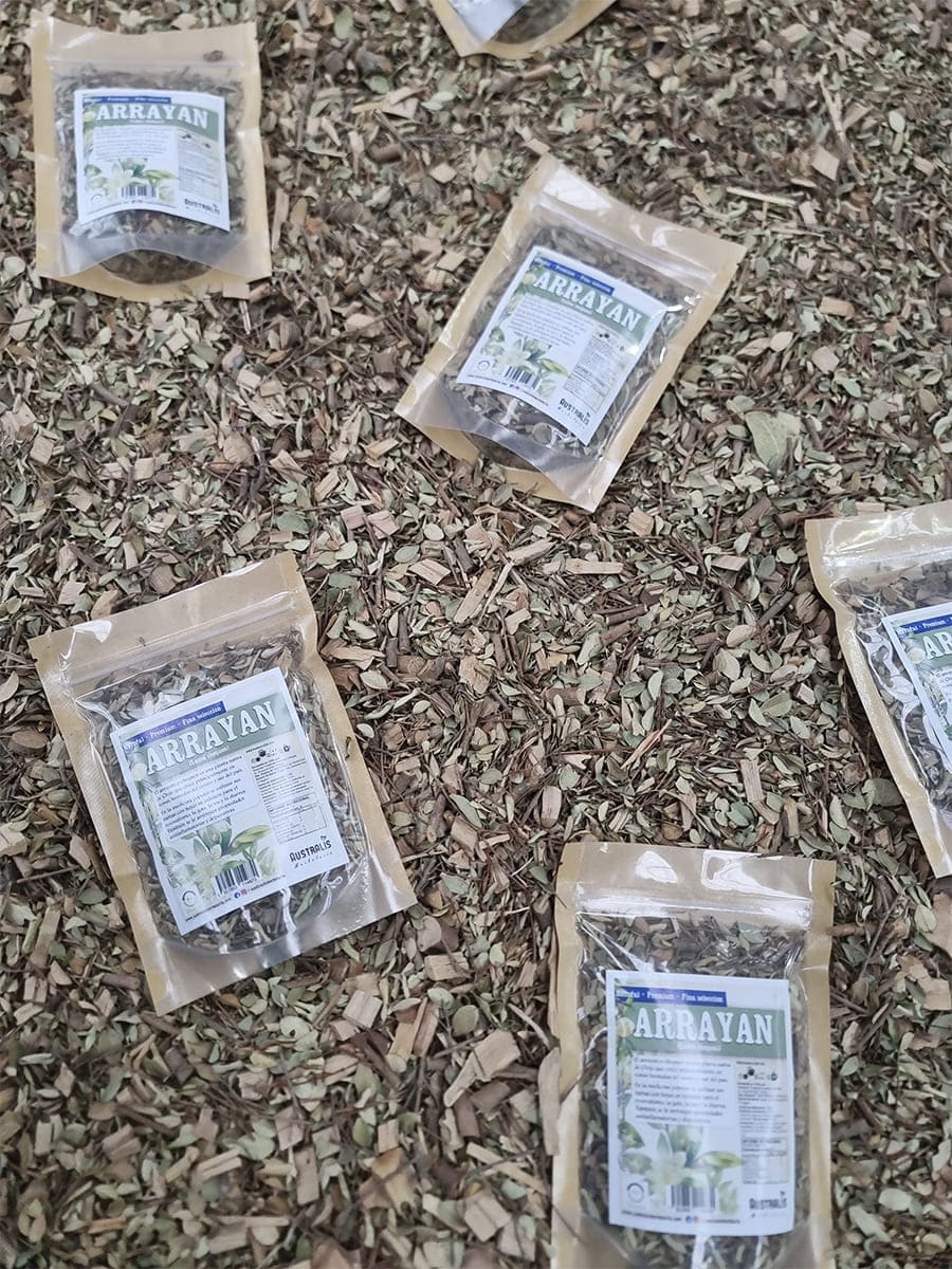 Hojas y tallos de chequén secos para infusionar