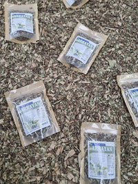 Hojas y tallos de chequén secos para infusionar