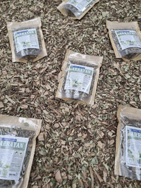 Hojas secas de arrayán para preparar infusión