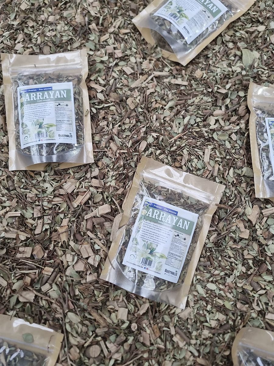 Luma chequen seco utilizado en preparaciones herbales