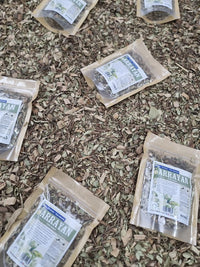 Arrayán en hoja seca listo para preparar té herbal