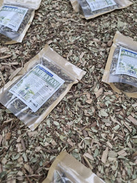Arrayán seco con hojas y pequeños tallos naturales