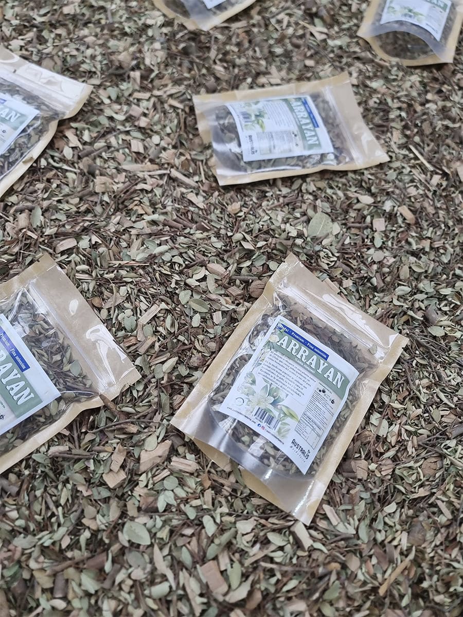 Hojas de Luma chequen seleccionadas y deshidratadas