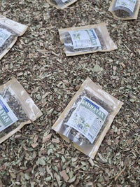 Hojas de Luma chequen seleccionadas y deshidratadas