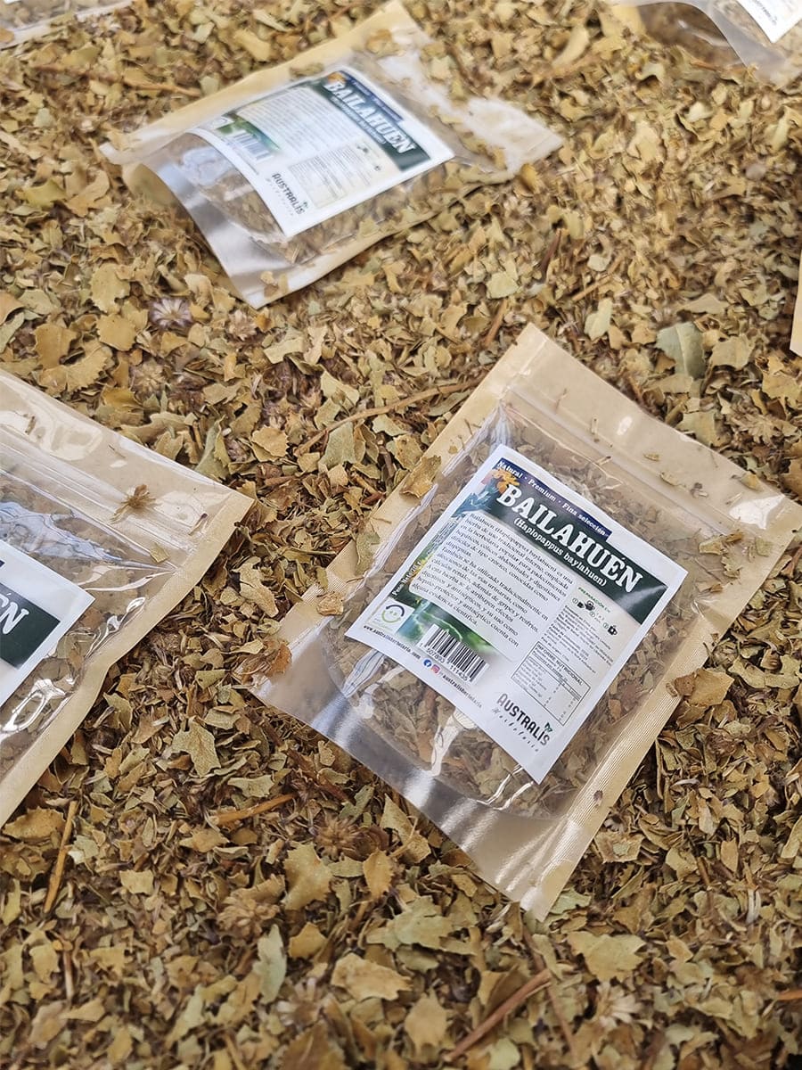 Bailahuén Haplopappus baylahuen para infusión natural