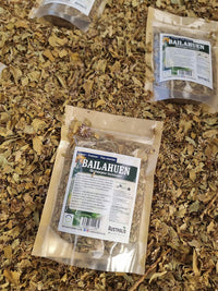 Hierba de bailahuén seca para infusiones