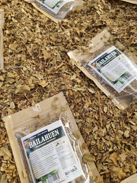 Bailahuén natural seco para infusiones digestivas