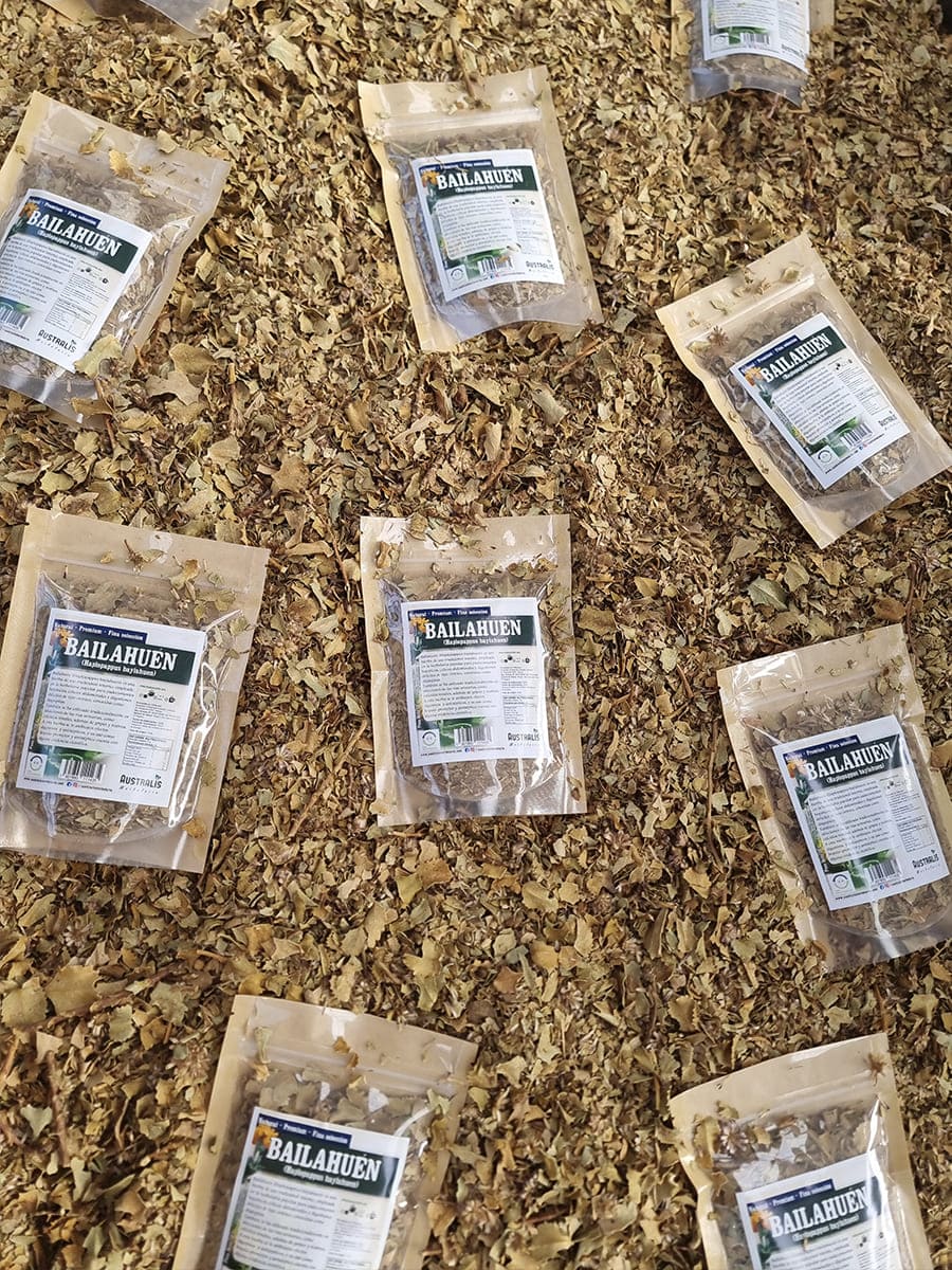 Bailahuén seco para bienestar digestivo tradicional