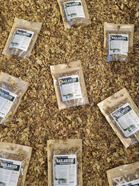Bailahuén seco para uso digestivo y hepático 