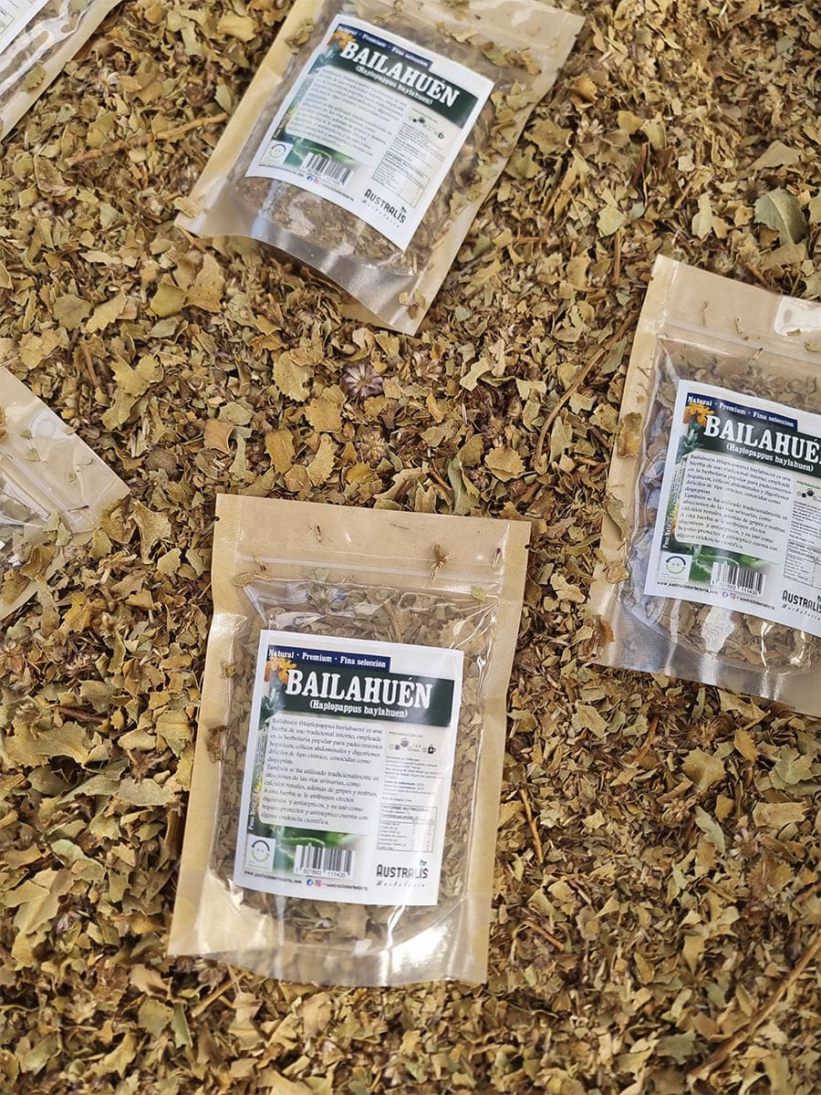 Bailahuén seco chileno para aguas de hierbas