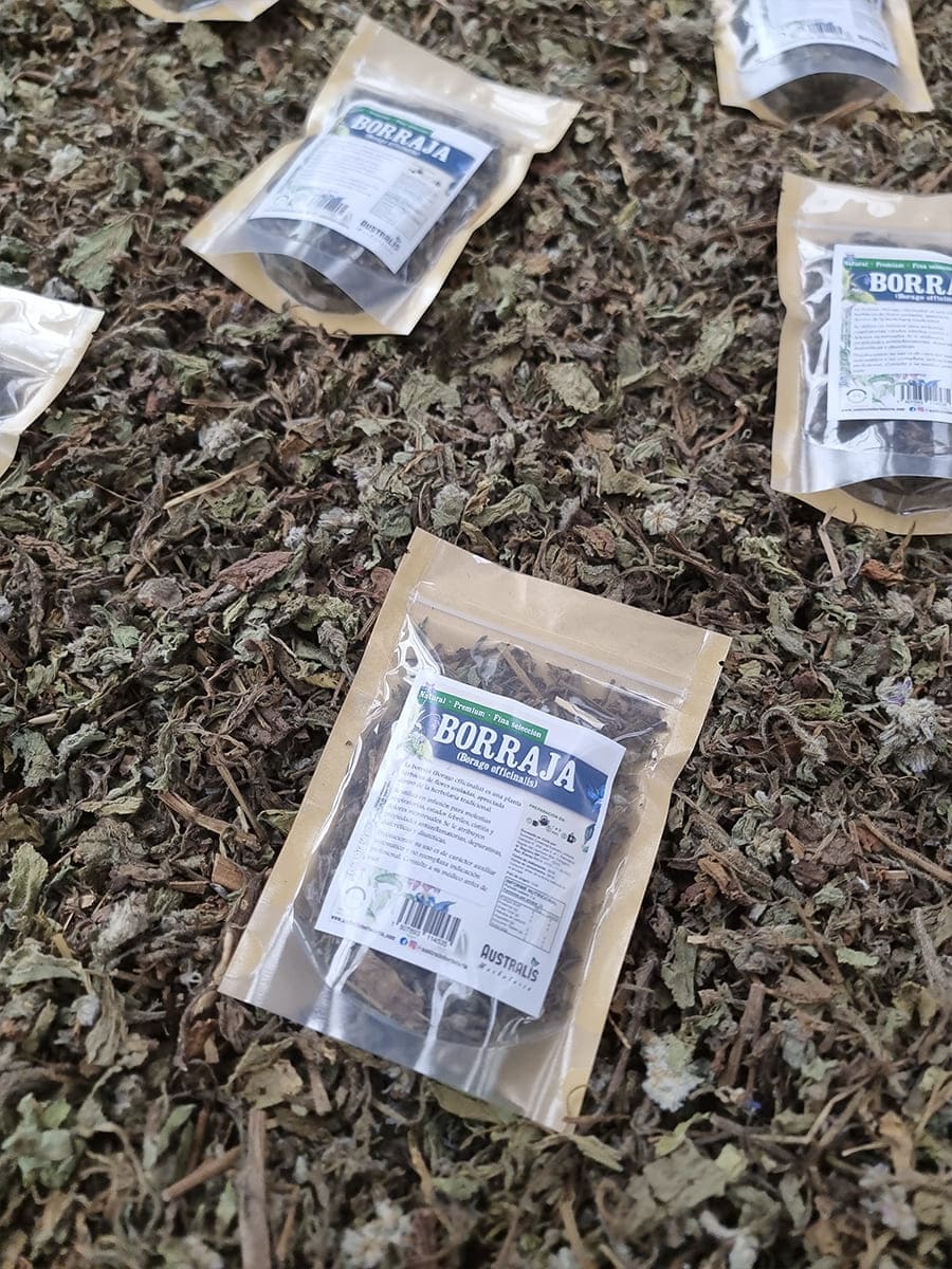 Hojas y partes secas de Borago officinalis