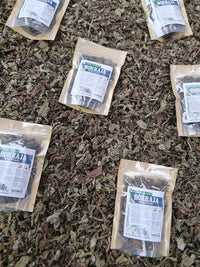Borraja seca en doypack lista para infusionar