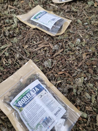 Porción de Borago officinalis deshidratada