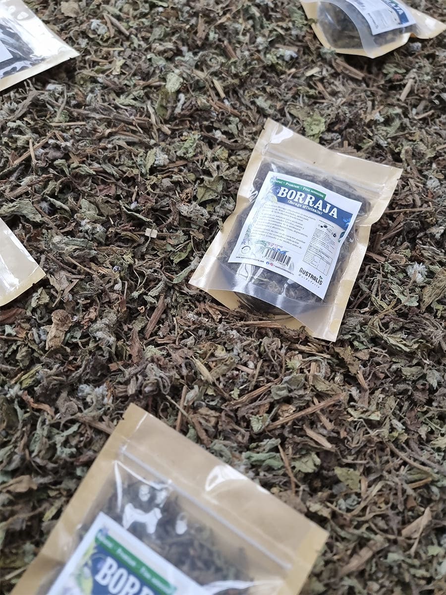 Borraja en hojas secas para preparación de infusiones