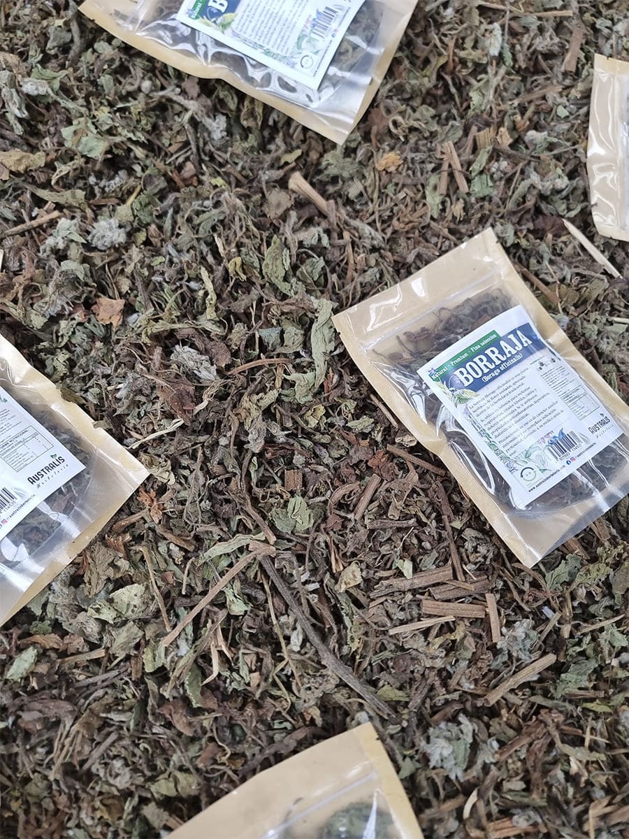 Infusión para preparar con hierba seca de borraja