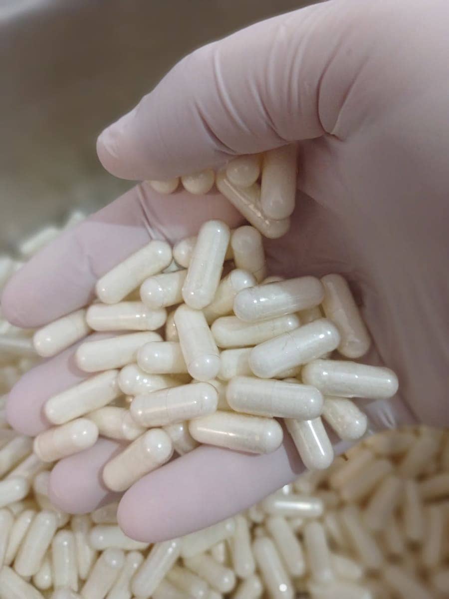 Cápsulas número 1 listas para rellenar con suplementos en polvo