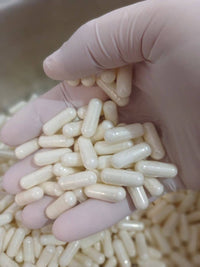 Cápsulas número 1 listas para rellenar con suplementos en polvo