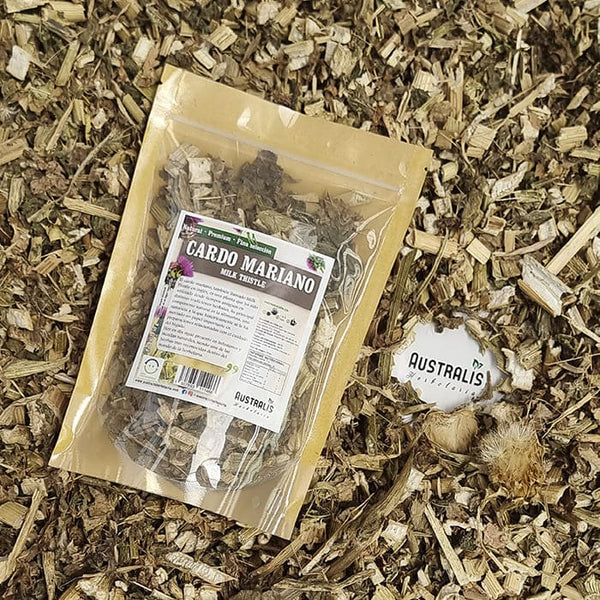 Cardo Mariano Hierba Infusión seca