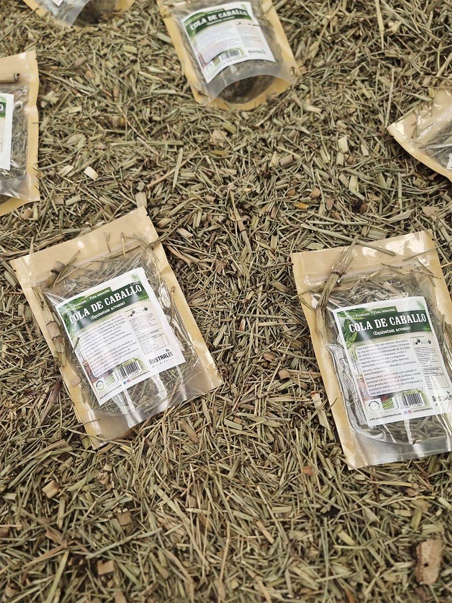 Cola de caballo seca a granel