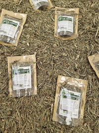 Tallos secos de cola de caballo