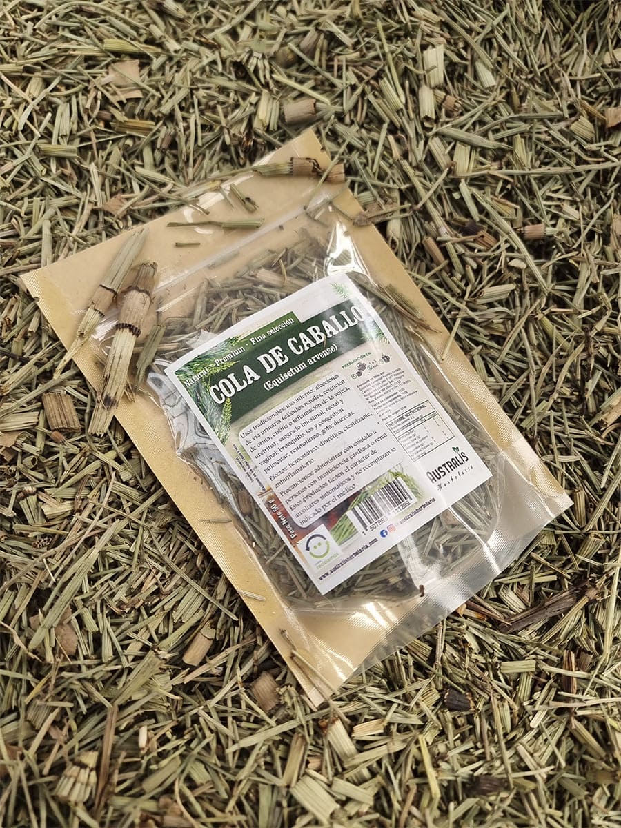Cola de caballo seca para té