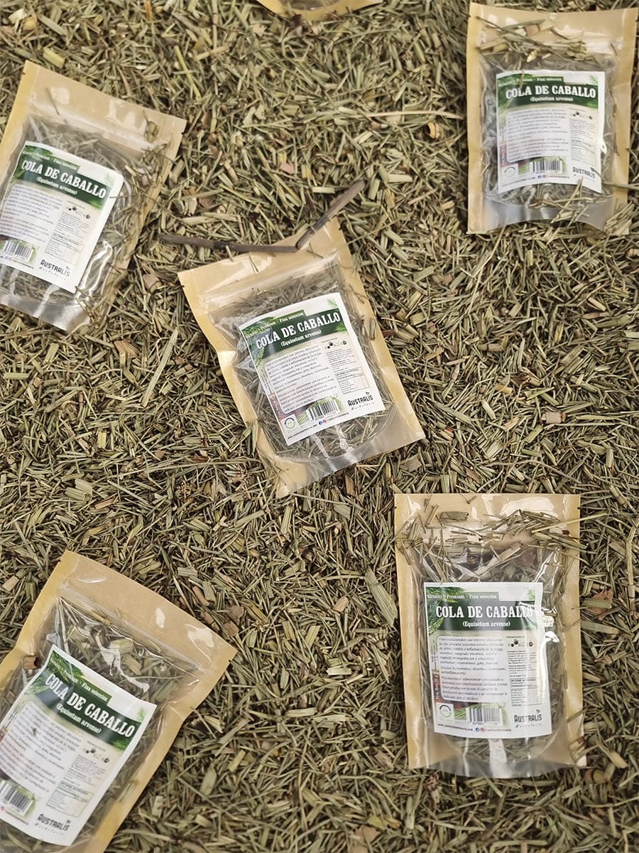 Hierba de cola de caballo natural
