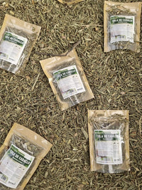Hierba de cola de caballo natural