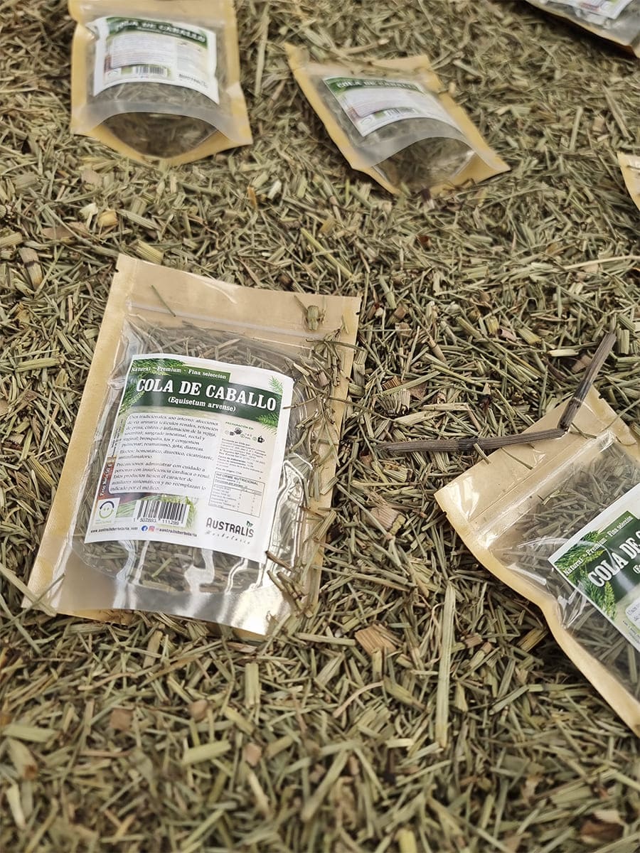 Infusión de cola de caballo seca