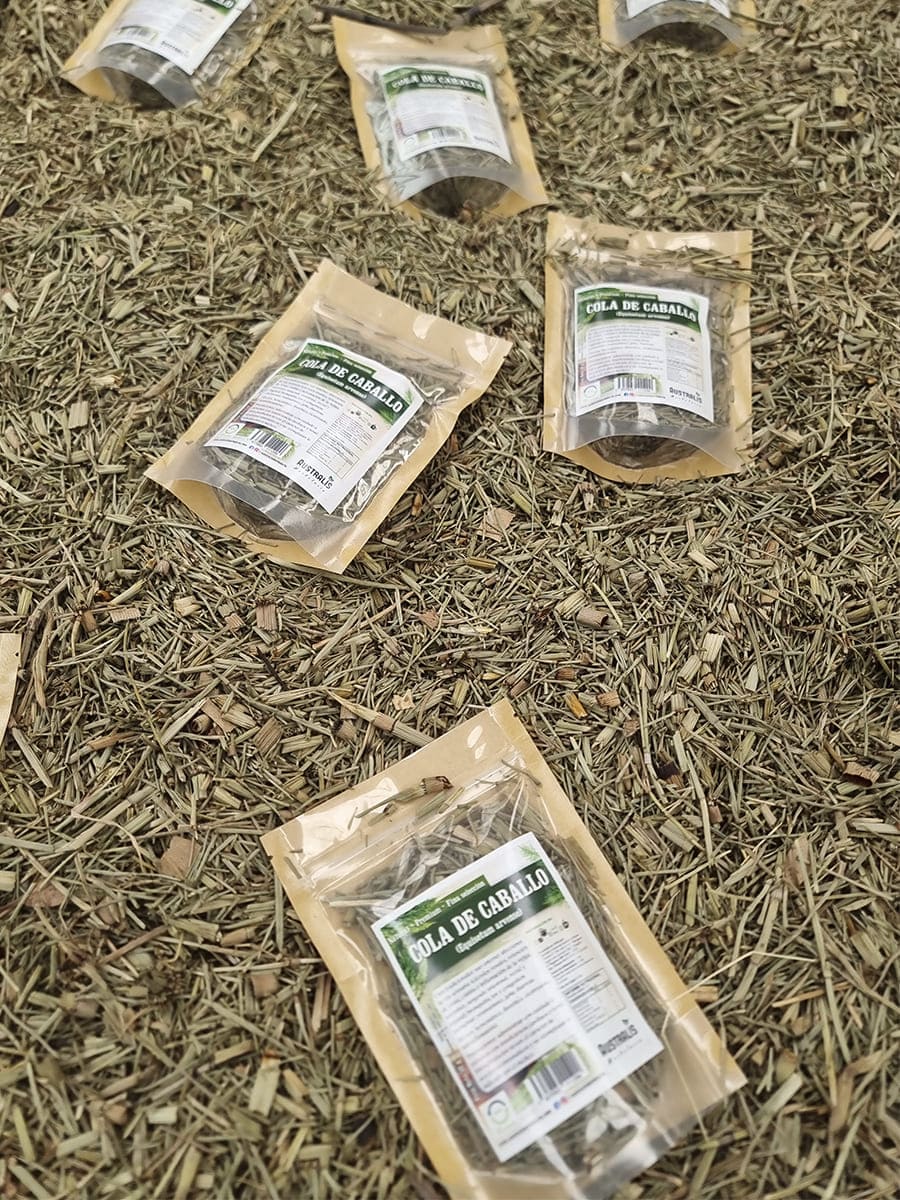 Té herbal de cola de caballo