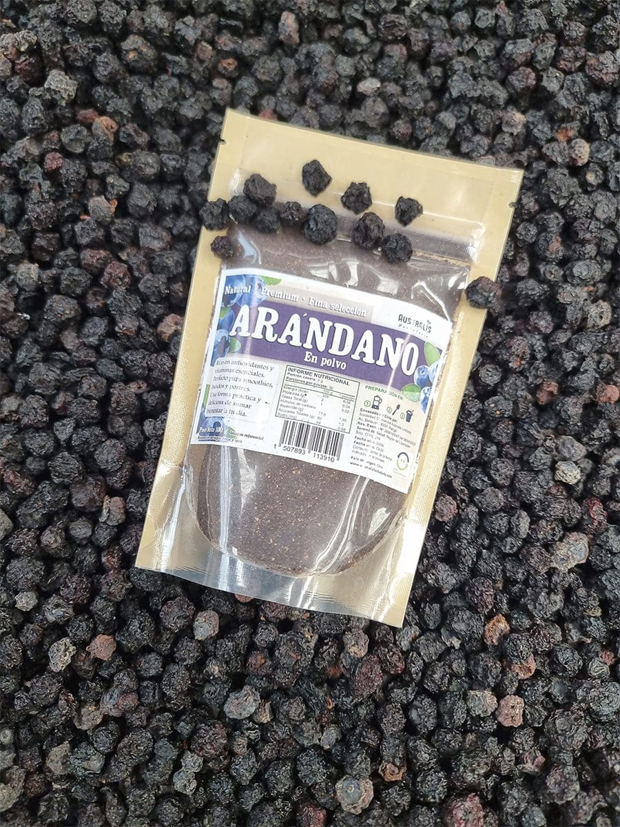 arandano en polvo natural deshidratado berry en chile