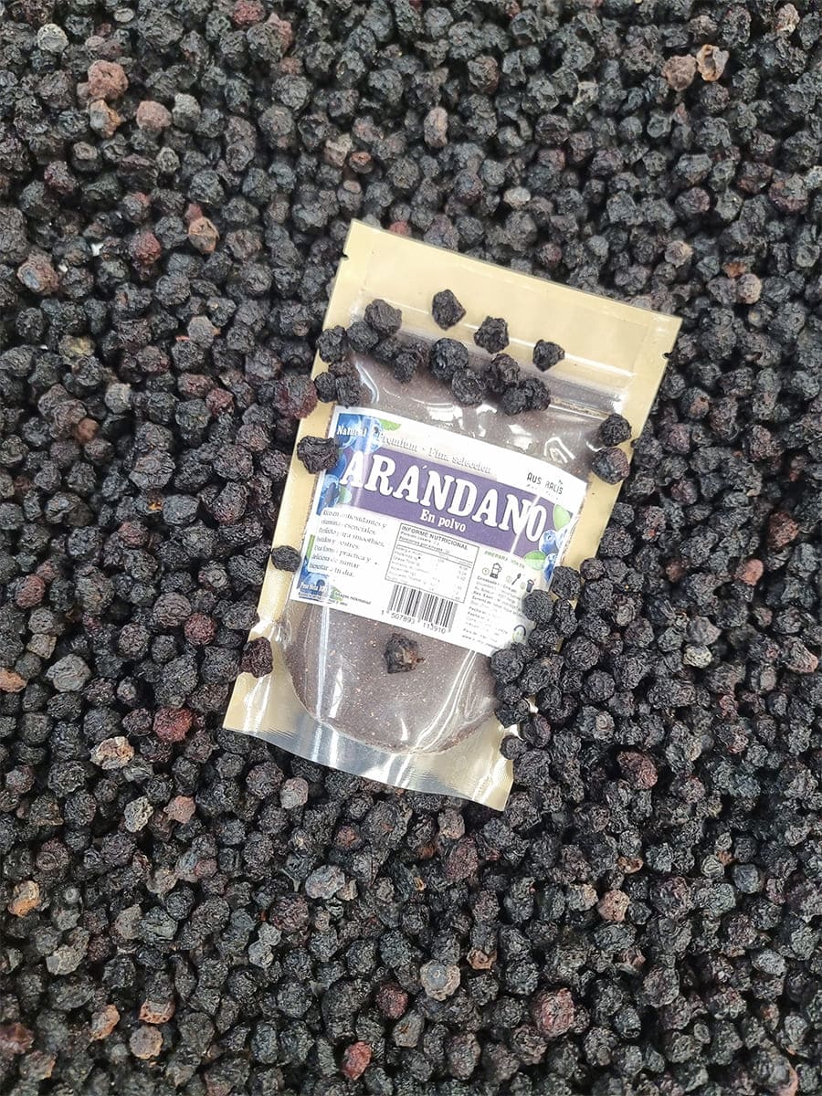 polvo de arandano natural deshidratado berry
