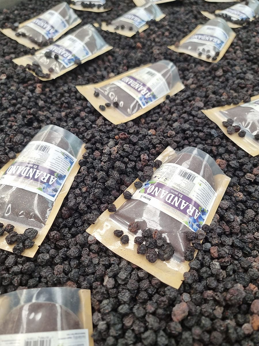 arandano berry deshidratado natural en formato polvo