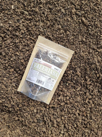 valeriana raíz seca a granel para infusión natural