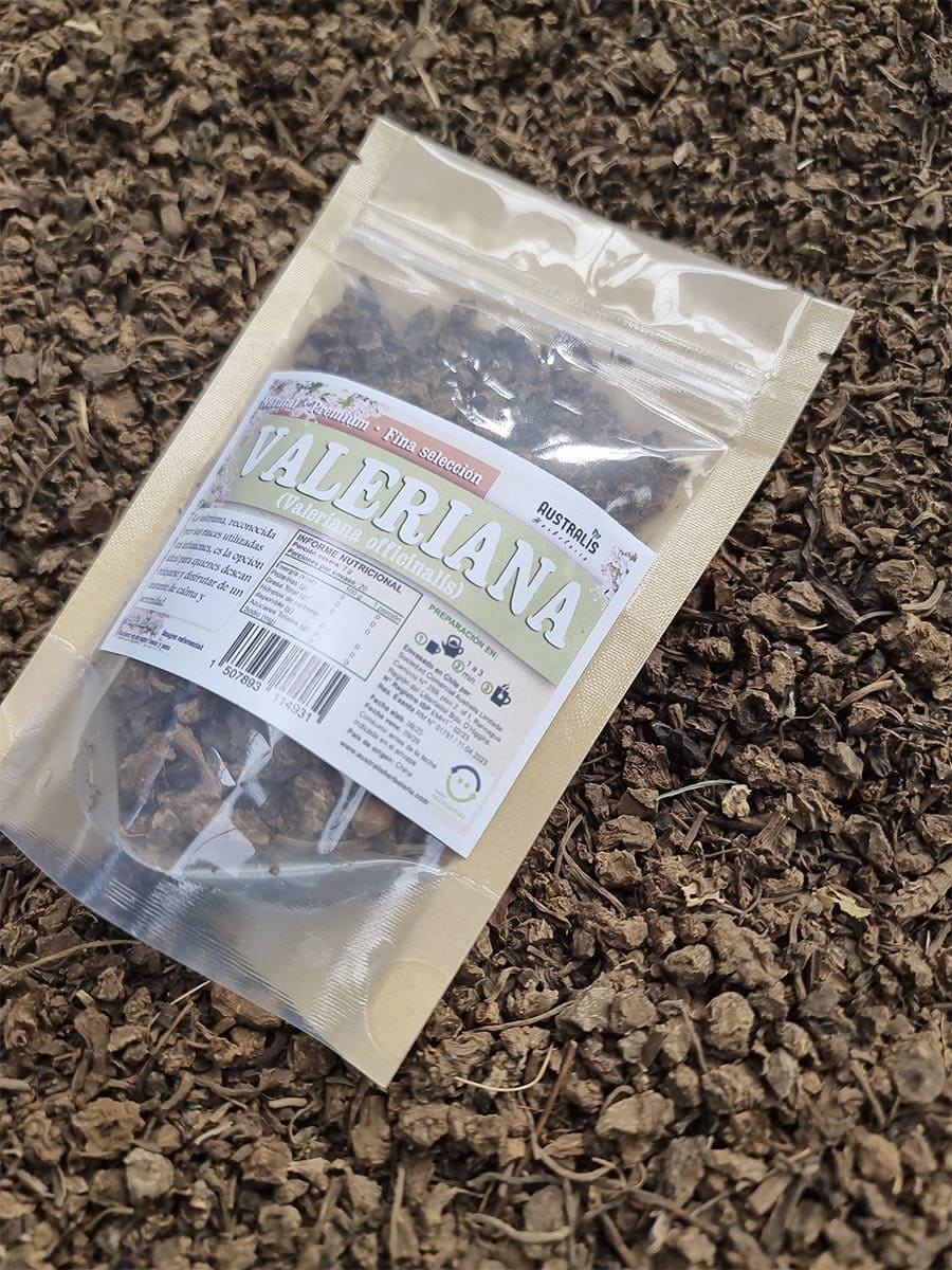 raíces secas de valeriana para preparar infusiones