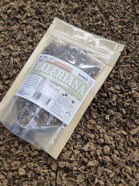 raíces secas de valeriana para preparar infusiones