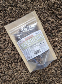 raíz de valeriana natural para infusión relajante